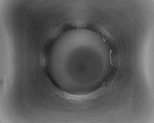 X0000113060039200908281143