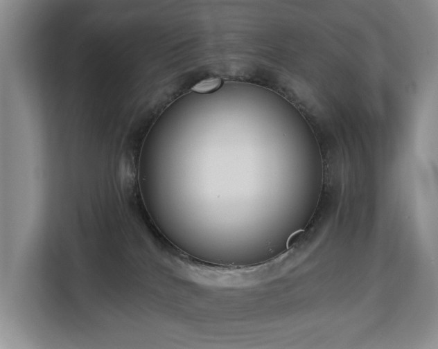 X0000113060040200908281143