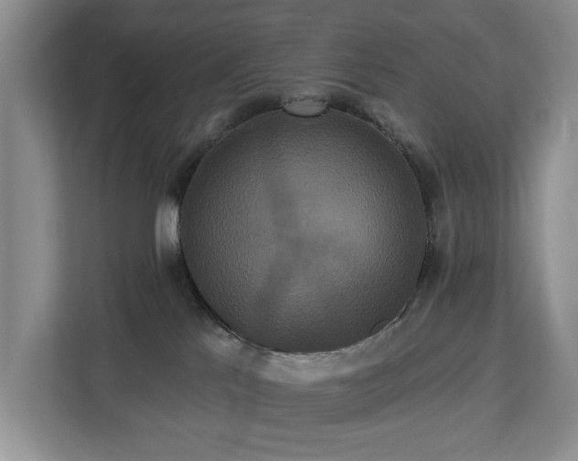 X0000113060041200908281143
