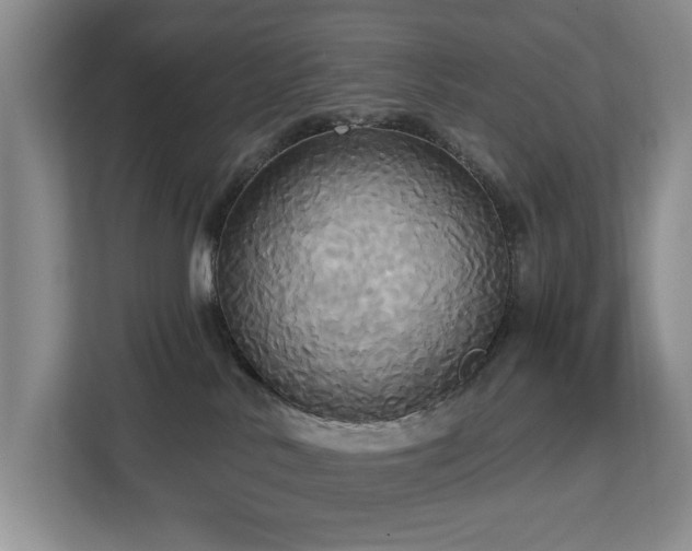 X0000113060042200908281143