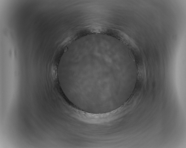X0000113060043200908281143