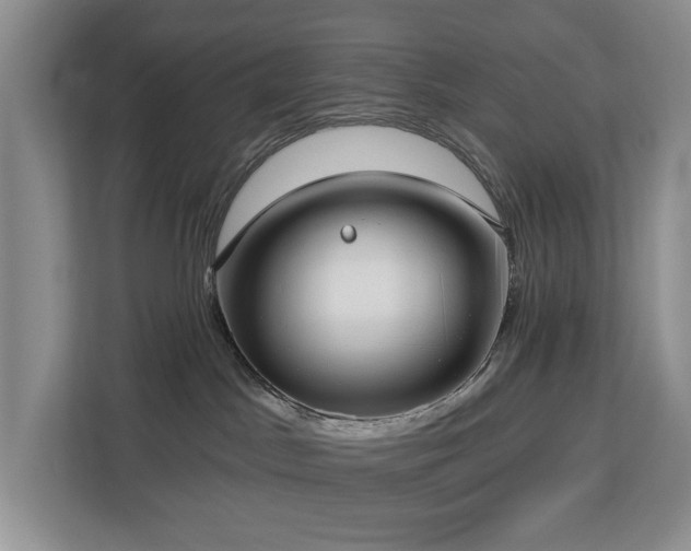 X0000113060045200908281143