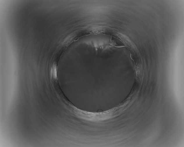 X0000113060046200908281143