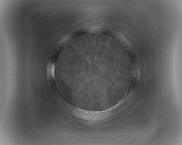 X0000113060047200908281143
