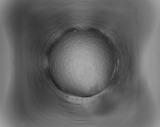 X0000113060048200908281143