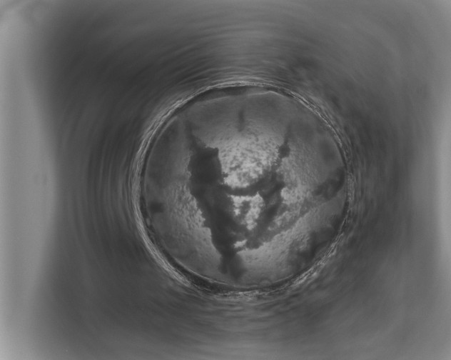X0000113060049200908281142