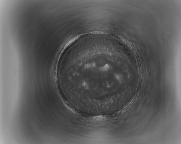 X0000113060050200908281142