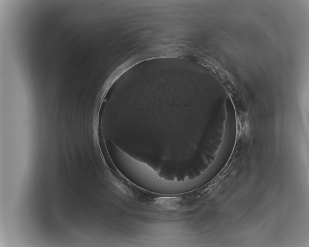 X0000113060051200908281142