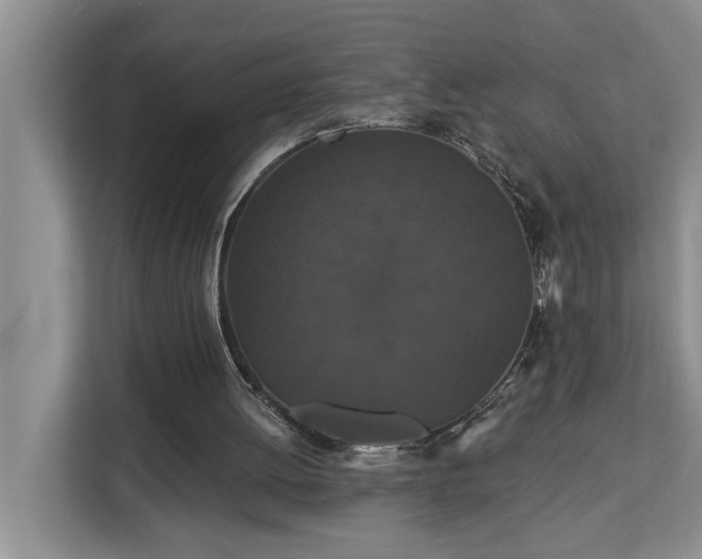 X0000113060052200908281142