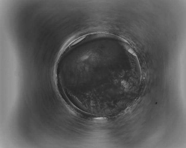 X0000113060053200908281142