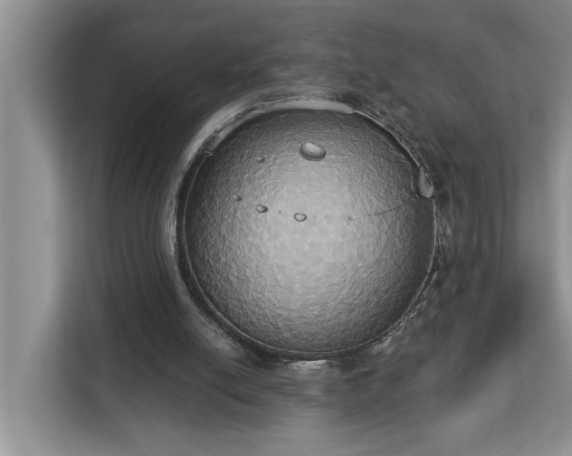 X0000113060054200908281142