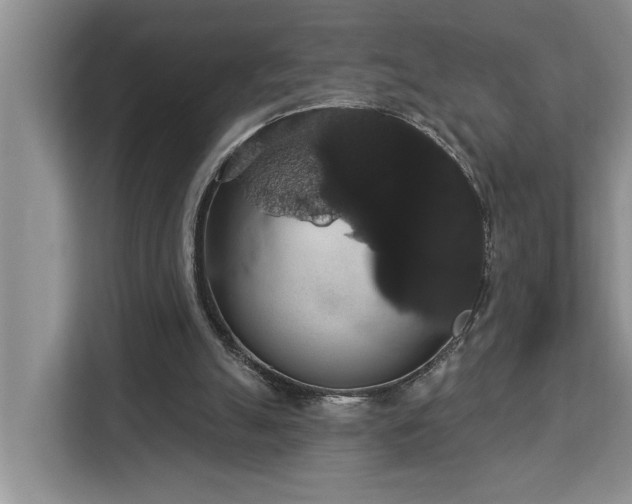 X0000113060055200908281142