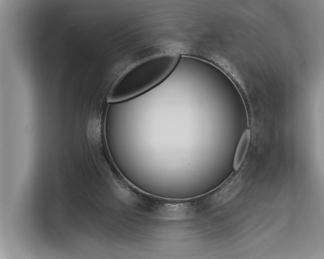 X0000113060057200908281142