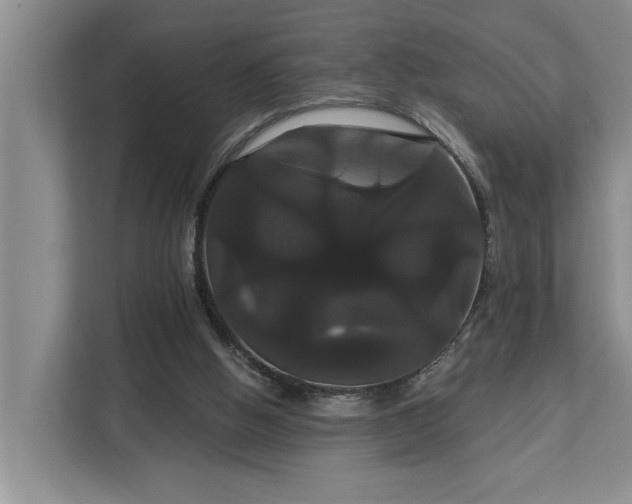 X0000113060058200908281142
