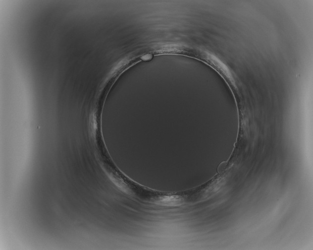 X0000113060059200908281142