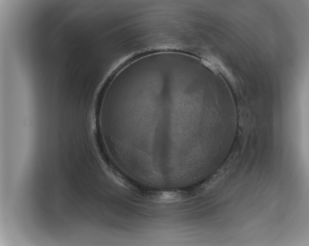 X0000113060060200908281142