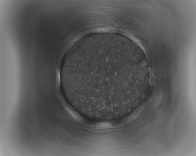 X0000113060061200908281142