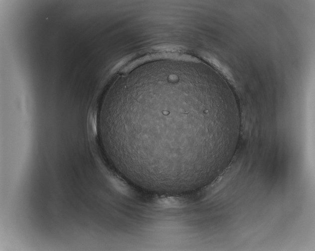 X0000113060062200908281142