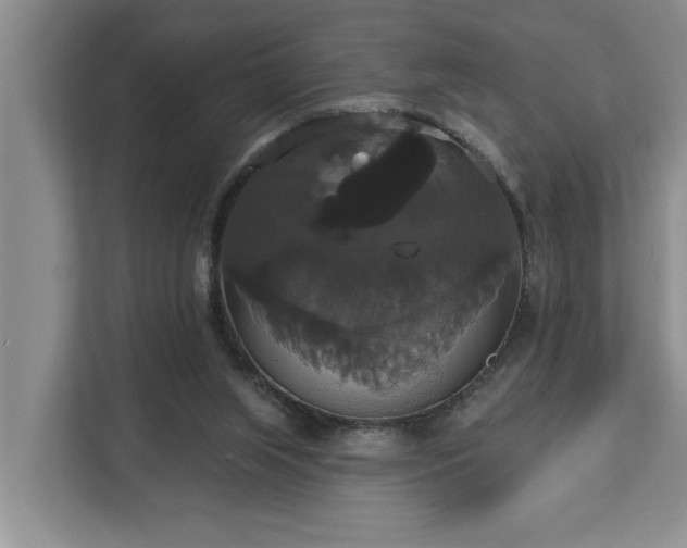 X0000113060063200908281142