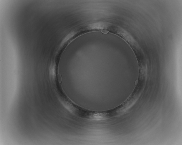 X0000113060064200908281142