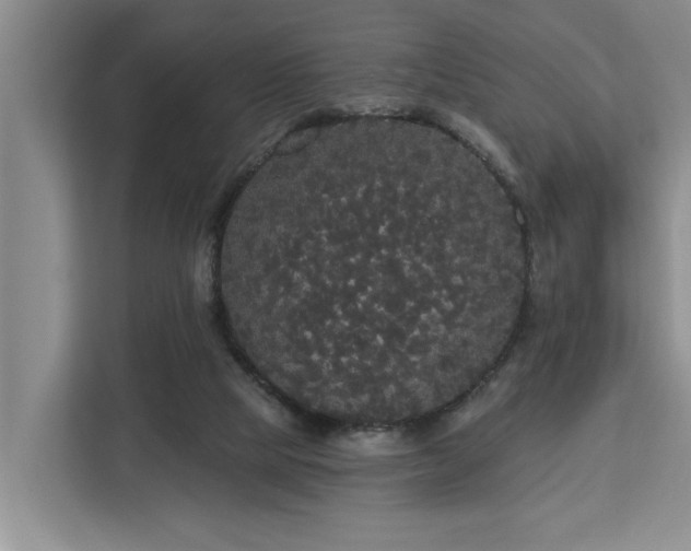 X0000113060065200908281142