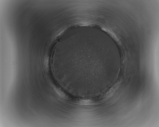 X0000113060066200908281142