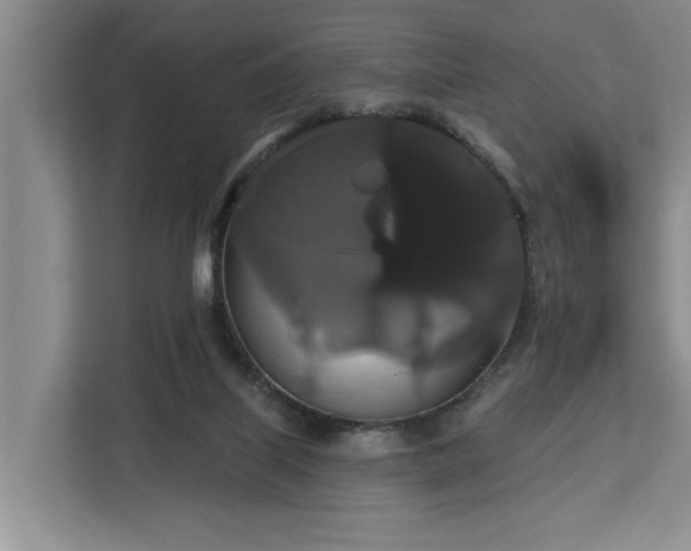 X0000113060067200908281142