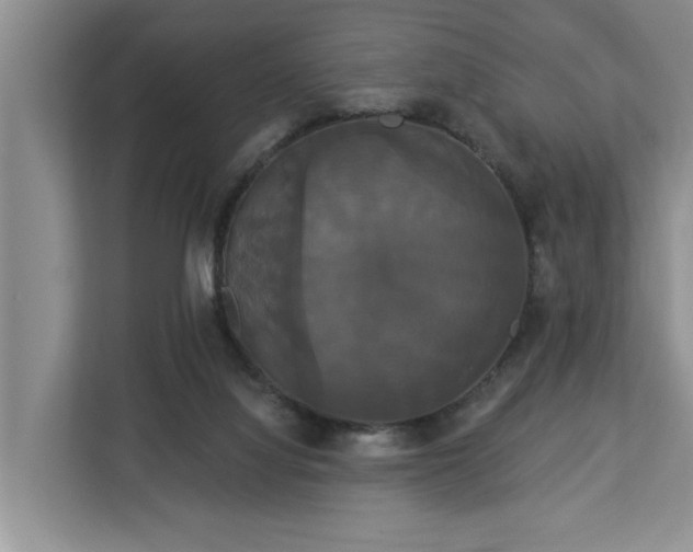 X0000113060068200908281142