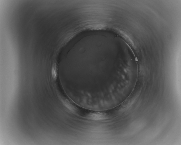 X0000113060069200908281142