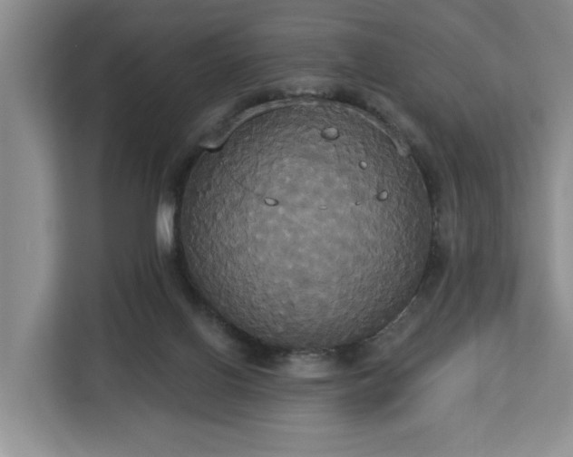 X0000113060070200908281142