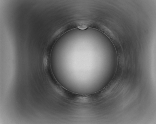 X0000113060071200908281142