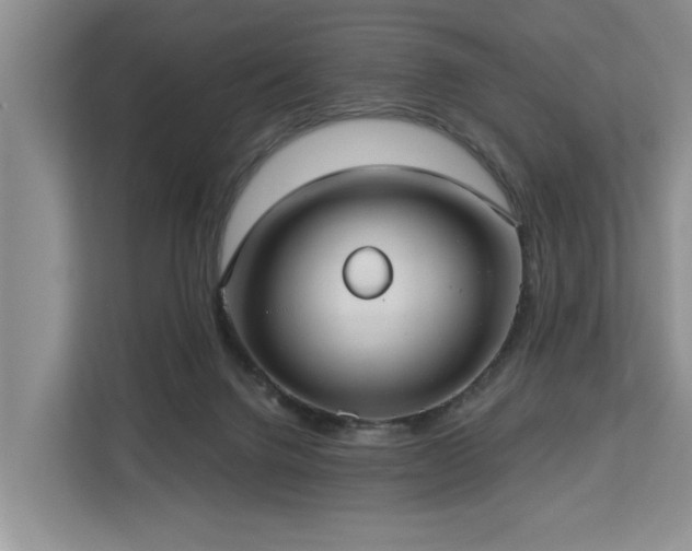 X0000113060072200908281142