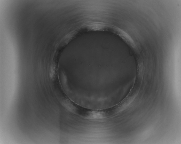 X0000113060073200908281142