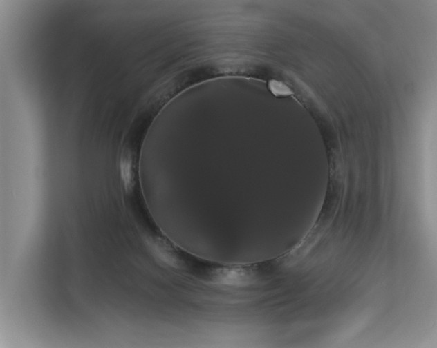 X0000113060074200908281142