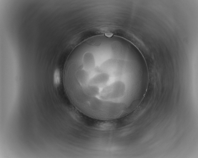 X0000113060075200908281143