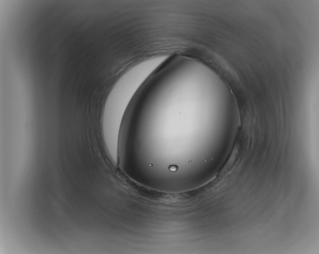 X0000113060076200908281143