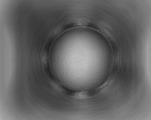 X0000113060078200908281143