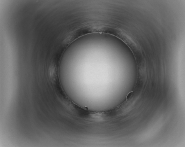 X0000113060079200908281143