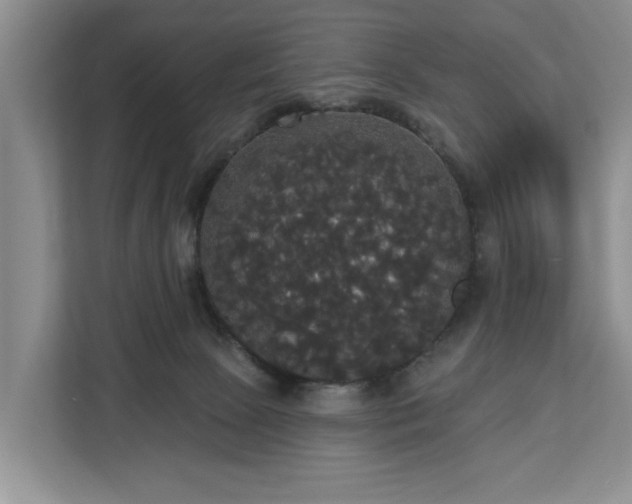 X0000113060081200908281143
