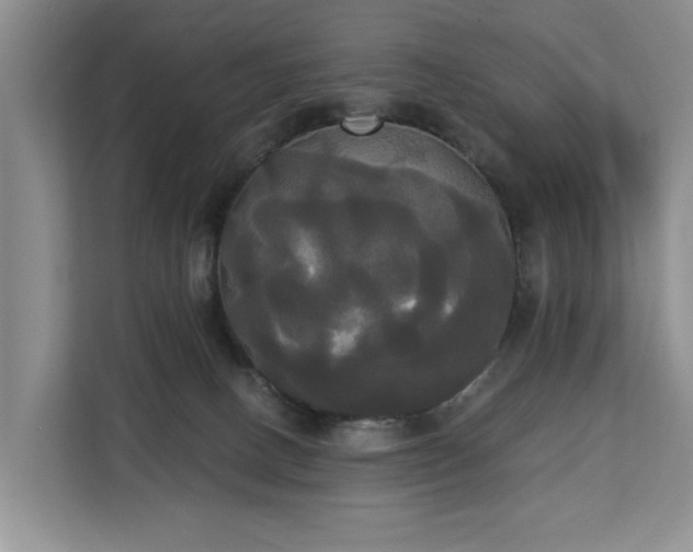 X0000113060082200908281143