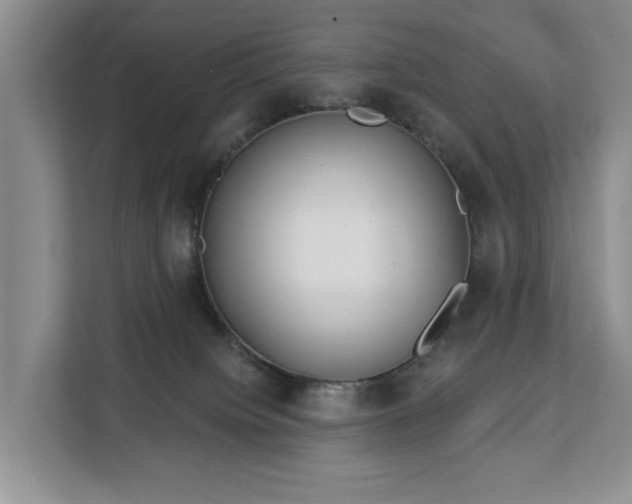 X0000113060084200908281143