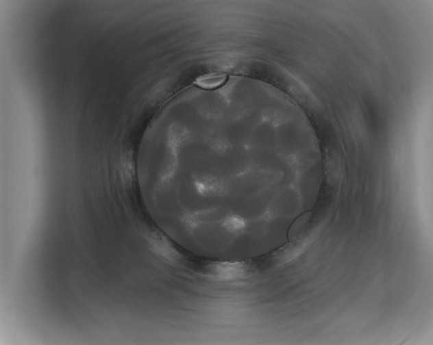 X0000113060085200908281143