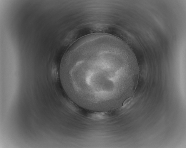 X0000113060086200908281143