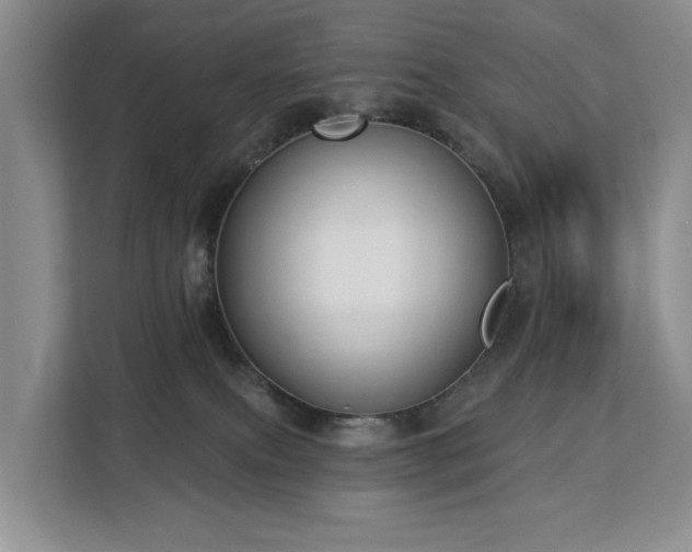 X0000113060087200908281143