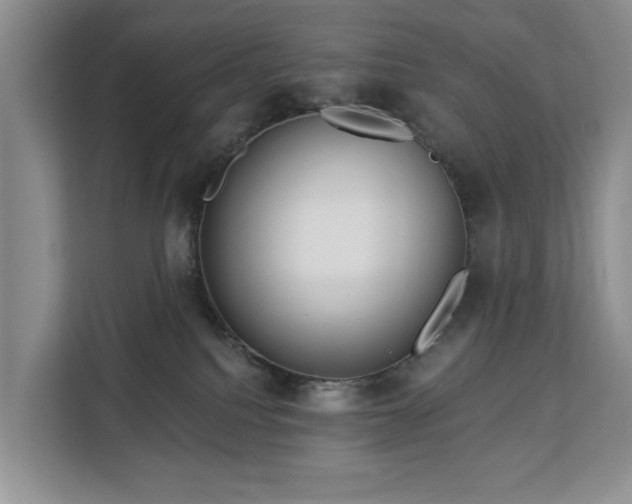X0000113060088200908281143