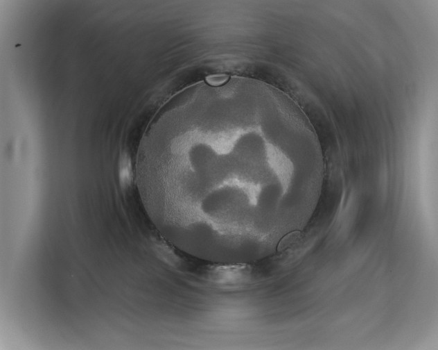X0000113060089200908281143