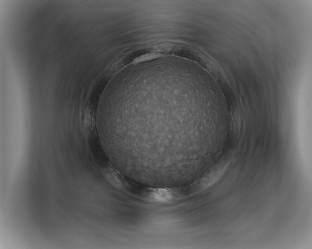 X0000113060091200908281143