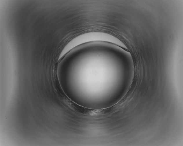 X0000113060092200908281143
