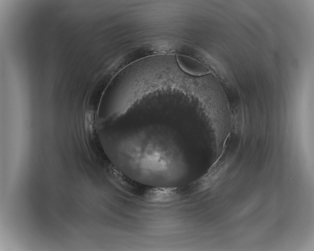 X0000113060093200908281143