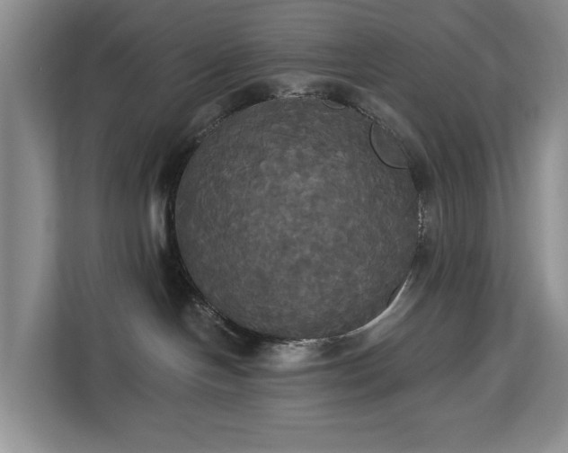 X0000113060094200908281143